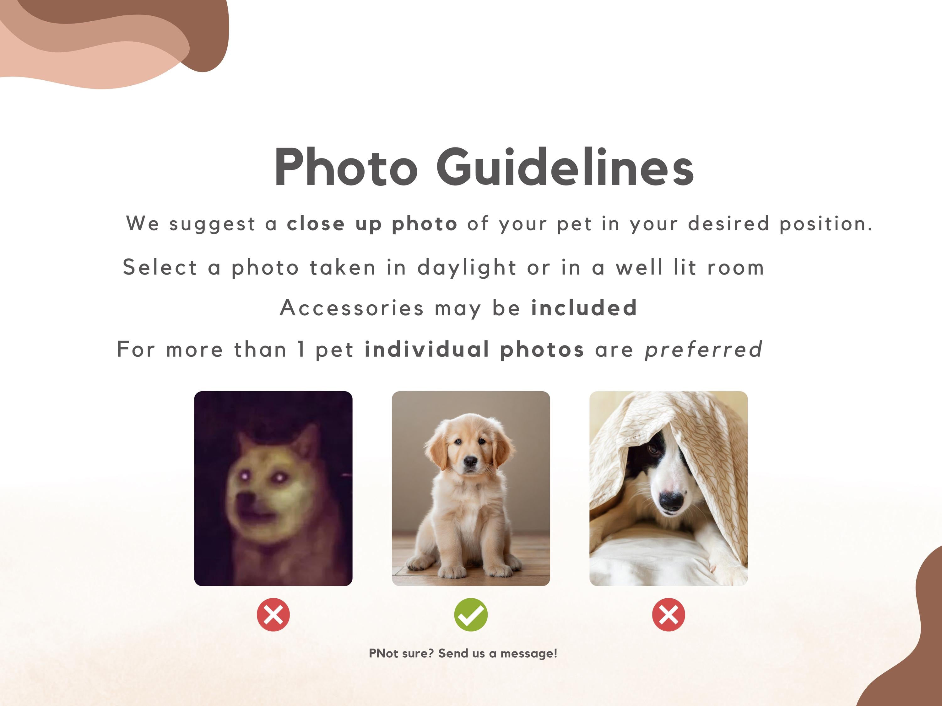 Custom Pet Blanket
